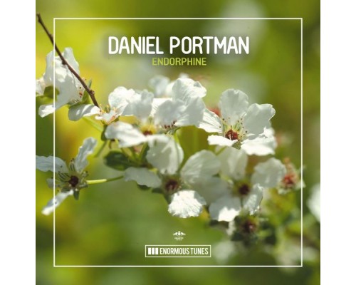 Daniel Portman - Endorphine