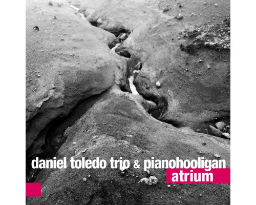 Daniel Toledo, Pianohooligan - Atrium