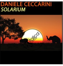 Daniele Ceccarini - Solarium