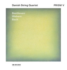 Danish String Quartet - Prism V