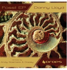 Danny Lloyd - Fossil