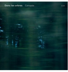 Dans Les Arbres - Canopée