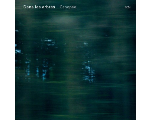 Dans Les Arbres - Canopée