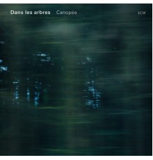 Dans Les Arbres - Canopée