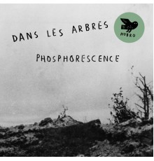 Dans Les Arbres - Phosphorescence