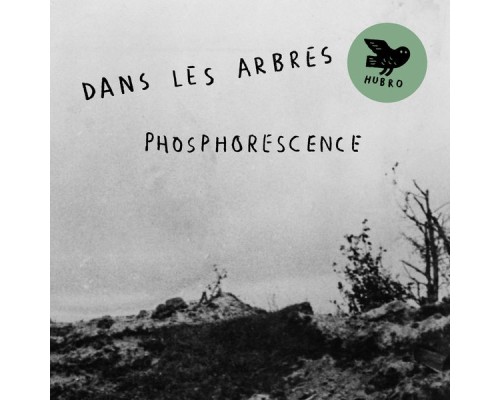 Dans Les Arbres - Phosphorescence