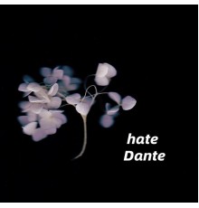 Dante - hate