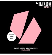 Dario D'attis & David Aurel - Hablando