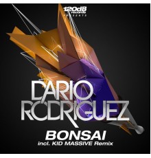 Dario Rodriguez - Bonsai