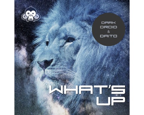 Dark Droid, Daito - What's Up