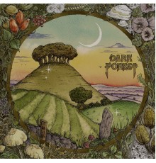 Dark Forest - Ridge & Furrow