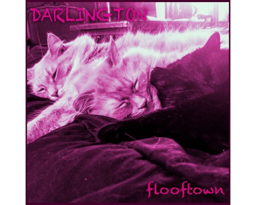 Darlington - Flooftown