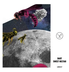 Dart - Sweet Nectar