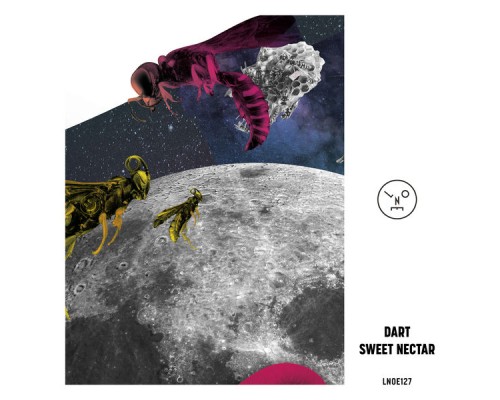 Dart - Sweet Nectar