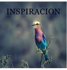 Darwin - INSPIRACION