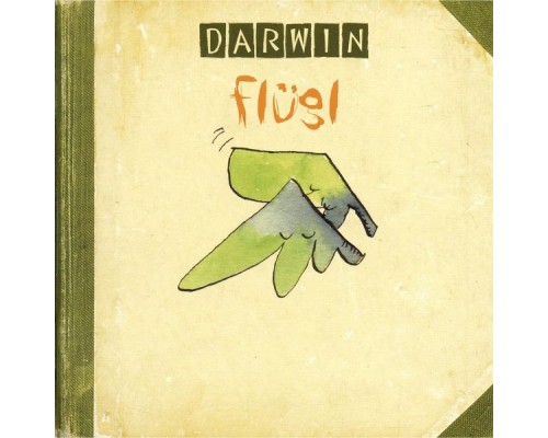 Darwin - Flügl