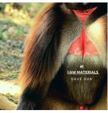 Dave Dub - Raw Materials