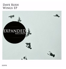 Dave Rush - Wings (Original Mix)