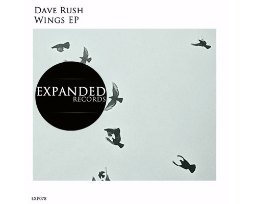 Dave Rush - Wings (Original Mix)