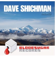 Dave Shichman - Findings