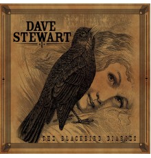 Dave Stewart - The Blackbird Diaries