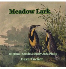 Dave Tucker - Meadow Lark