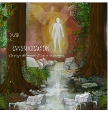 David - Transmigración