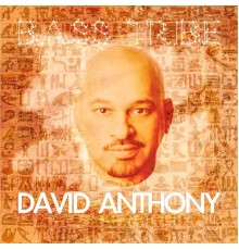 David Anthony - Bass Tribe