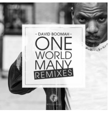 David Boomah - One World Many (Remixes)