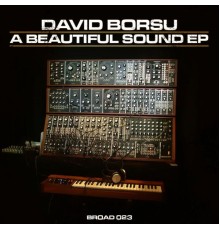 David Borsu - A Beautiful Sound EP