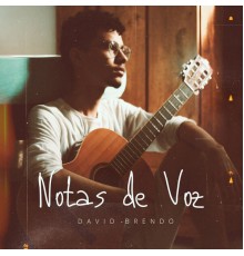 David Brendo - Notas de Voz