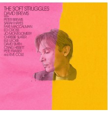 David Brewis - The Soft Struggles