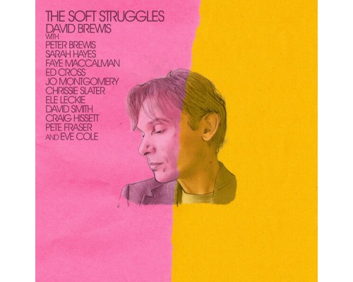 David Brewis - The Soft Struggles