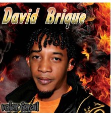 David Brique - Voler ferail