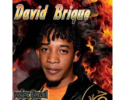 David Brique - Voler ferail