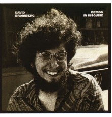 David Bromberg - Demon In Disguise