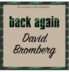 David Bromberg - Back Again