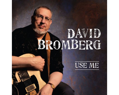 David Bromberg - Use Me