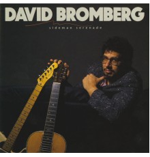 David Bromberg - Sideman Serenade