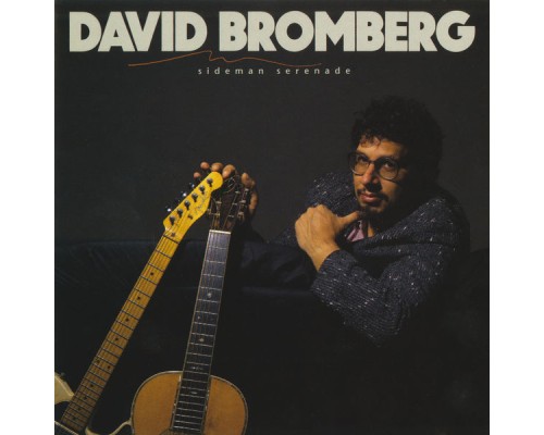 David Bromberg - Sideman Serenade