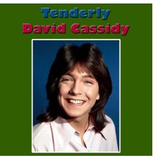 David Cassidy - Tenderly (Live)