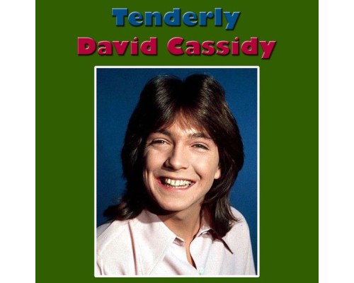 David Cassidy - Tenderly (Live)