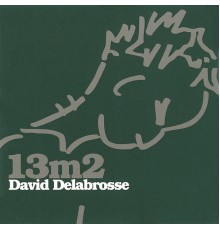 David Delabrosse - 13 m²