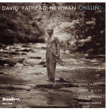 David "Fathead" Newman - Chillin'