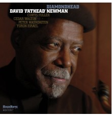 David "Fathead" Newman - Diamondhead