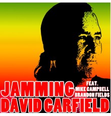 David Garfield - Jamming