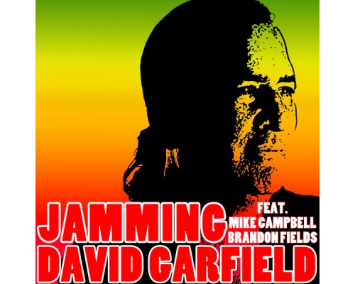 David Garfield - Jamming