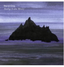 David Gray - Skellig  (Calm Mixes)