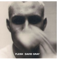 David Gray - Flesh