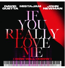 David Guetta x MistaJam x John Newman - If You Really Love Me (How Will I Know)